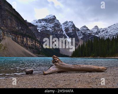 Beautiful view of Morain Lake in Banff National Park, Alberta, Canada in the Rocky Mountains with driftwood on the shore and majestic mountains. Stock Photo