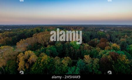 Aerial bird view over beautiful temperate coniferous forest over top of trees showing the amazing different green pine forest colors. Air hum, flying low over a dense forest landscape. High quality photo Stock Photo