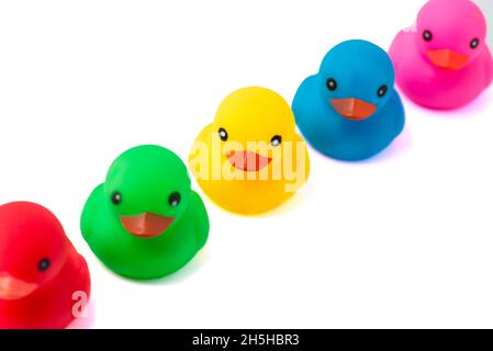 A row of rubber ducks on a white background. Bright colored rubber ducks in a line. Rubber ducks in a row isolated on a white background. Stock Photo