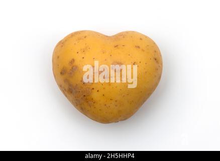 Heart-shaped potato, Baden-Wuerttemberg, Germany Stock Photo