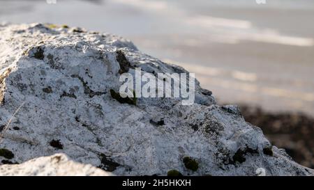 Macro of white, painted stone in coastal flooding strengthening Stock Photo