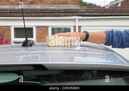close up of mans hand holding a sponge, hand washing a silver car roof outside a house on a sunny day Stock Photo