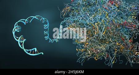 Ribosome as part of an biological cell constructing messenger rna ...