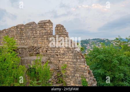 a huge stone wall overgrown with various grass Stock Photo