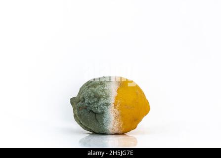 Half rotten and half healthy lemon represents concept of bipolarity or personality disorder. Isolated on white Stock Photo