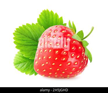 ripe red strawberry with stem isolated on white background Stock Photo ...