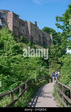 Skipton, view in summer of people walking on the footpath overlooking the Springs Branch Canal with the north wall of Skipton Castle above, Yorkshire Stock Photo