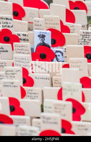 London, UK. 10th Nov, 2021. Crosses with poppies on are laid, by Poppy Factory volunteers, out awaiting infilling with messages of remembrance from individuals by their various regiments and corps - The field of remembrance is being prepared outside Westminster Abbey. Credit: Guy Bell/Alamy Live News Stock Photo