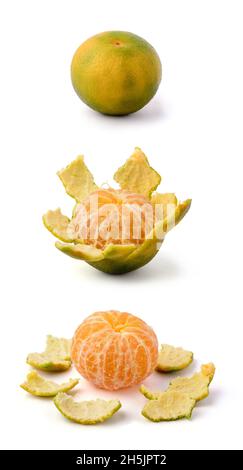 tangerines, fresh mandarin oranges, collection of peeled and whole citrus fruits isolated on white background Stock Photo