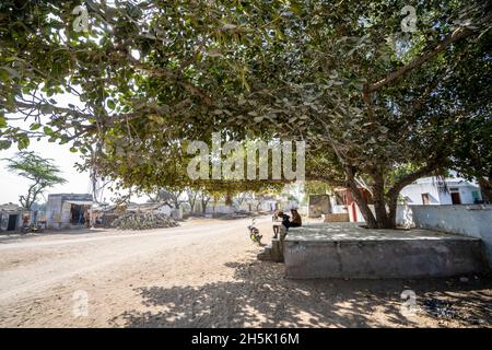 Street scene in a rural village in India, people sitting under the shade of a large tree; India Stock Photo
