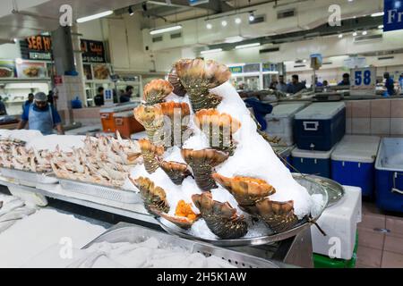 Lobster Tails in ice at the Mina Port Fish Market (Mina Zayed) in Abu Dhabi city, UAE. Stock Photo