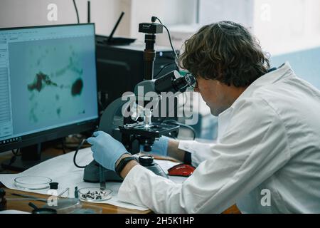 Scientist examines cannabis sativa mold through an electron microscope Stock Photo