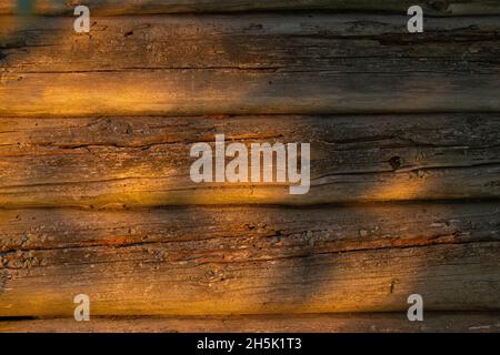 An old wooden barn wall during a summery sunset in Estonian countryside. Stock Photo