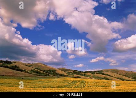 Qu'appelle Valley Saskatchewan, Canada Stock Photo