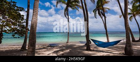 Turquoise water of the Caribbean Sea with white, puffy clouds filling the blue sky and a blue hammock hung between the coconut palms at Caravelle B... Stock Photo