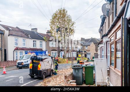 A tree surgeon cuts and trims a tree Stock Photo - Alamy