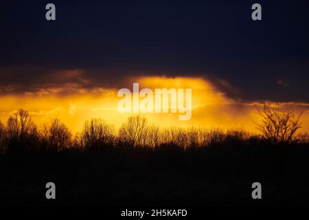 Sunset glowing golden under storm clouds and over a forest of leafless trees; Bavaria, Germany Stock Photo
