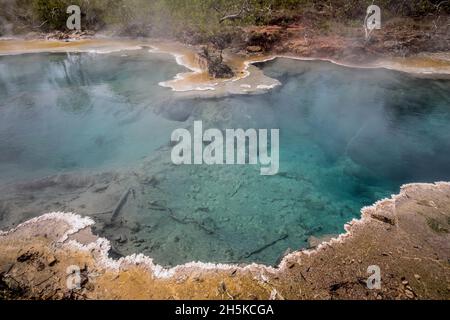 Dei Dei Hot Springs; Fergusson Island, D'Entrecasteaux Islands, Papua New Guinea Stock Photo