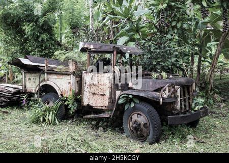 Vintage truck abandoned on the edge of rainforest in Papua New Guinea; Morobe Province, Papua New Guinea Stock Photo