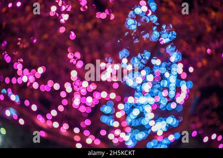 Festive lights in Bracebridge Park, Bracebridge, Ontario, Canada Stock Photo