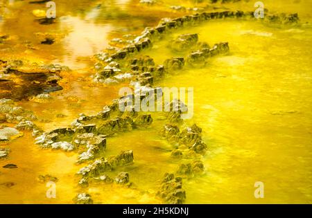 Abstract view of a thermal pool near Doublet Pool in the Upper Geyser Basin. Stock Photo