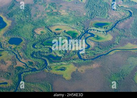 Aerial view of the rivers, streams and surrounding green forests on the tundra of the Arctic National Wildlife Refuge Stock Photo