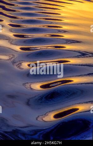 Abstract shapes created by the icy blue ripples illuminated with golden sunlight on the calm waters at sunset; Antarctica Stock Photo