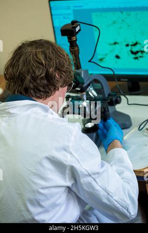 Scientist examines cannabis sativa mold through an electron microscope Stock Photo