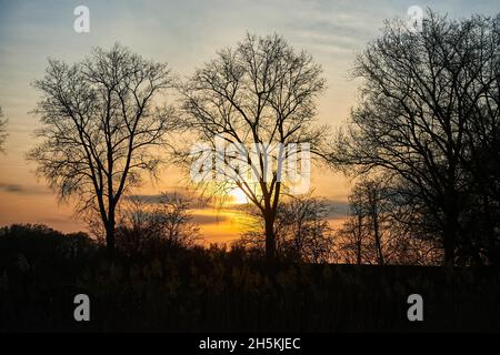 Silhouetted trees with a glowing sun at sunset; Bavaria, Germany Stock Photo