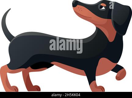 Dachshund curled his paw. Dachsand pose, cartoon dog flat icon vector illustration isolated on white background Stock Vector