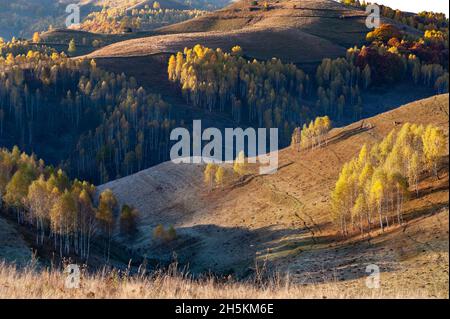 morning autumn landscape in dumesti, alba county. romania Stock Photo