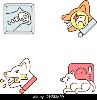 Pet treatment RGB color icons set Stock Vector