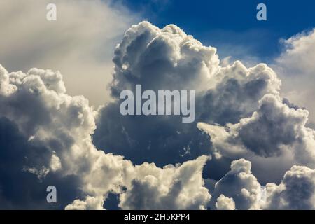 Close-up of dramatic storm clouds with blue sky in the background; Calgary, Alberta, Canada Stock Photo