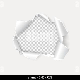 Rip open paper holes with torn edges, hole in wall. Realistic white page sheet with round crack or burst on transparent background vector. Damaged gap with teared and ragged borders Stock Vector