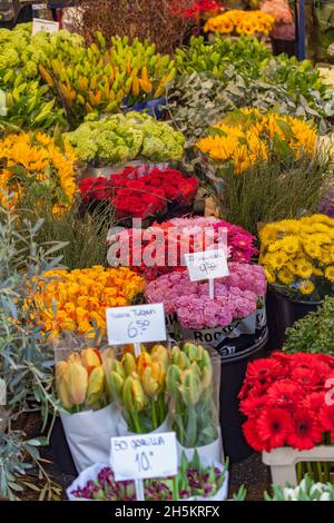 Colourful cut flower bouquets on display for sale at a flower market; Amsterdam, North Holland, Netherlands Stock Photo