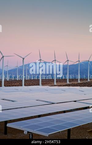 Environmentally friendly wind and solar energy collection in the desert at dusk. Stock Photo