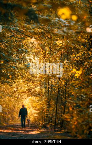 A man walking his dog in an autumn forest Stock Photo