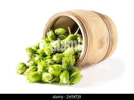 Green  hazelnut nuts scattered from small cask isolated on white Stock Photo