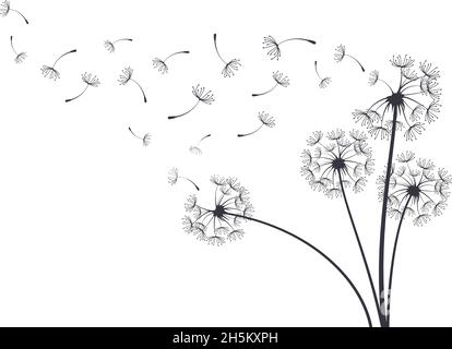 Dandelion blowball botanical plant fluffy flying seeds. Decorative blooming dandelions with fluffy flying seeds vector background illustration. Hand Stock Vector