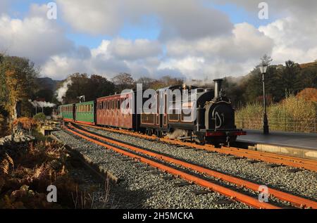 No5 Welsh Pony waters at Beddgelert on the Welsh Highland Railway. Stock Photo