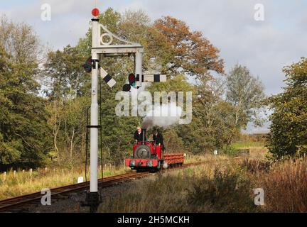 George B approaches Llangower on the Bala lake Railway on 7.11.21. Stock Photo