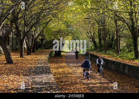 Cyclists ride past fallen leaves and trees displaying autumn colours at Mangotsfield Station on the Bristol and Bath Railway Path, part of the UK Nati Stock Photo