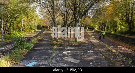 Cyclists ride past fallen leaves and trees displaying autumn colours at Mangotsfield Station on the Bristol and Bath Railway Path, part of the UK Nati Stock Photo