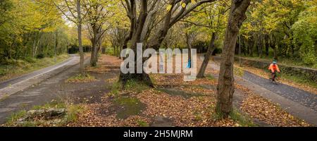 Cyclists ride past fallen leaves and trees displaying autumn colours at Mangotsfield Station on the Bristol and Bath Railway Path, part of the UK Nati Stock Photo