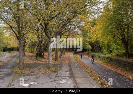 Cyclists ride past fallen leaves and trees displaying autumn colours at Mangotsfield Station on the Bristol and Bath Railway Path, part of the UK Nati Stock Photo