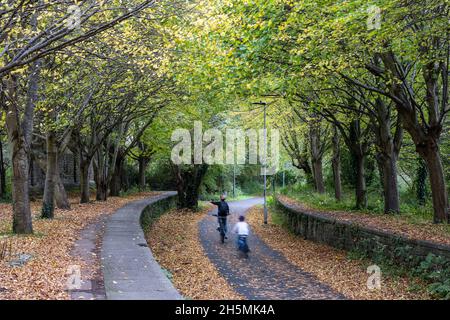 Cyclists ride past fallen leaves and trees displaying autumn colours at Mangotsfield Station on the Bristol and Bath Railway Path, part of the UK Nati Stock Photo