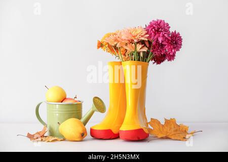 Rubber boots, flowers, watering can and flowers on white background Stock Photo
