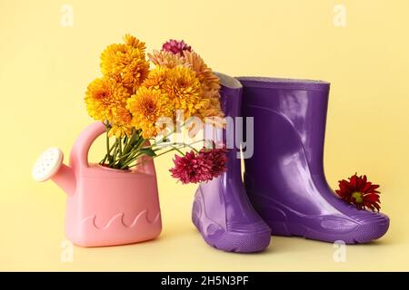 Pair of rubber boots, flowers and watering can on color background Stock Photo