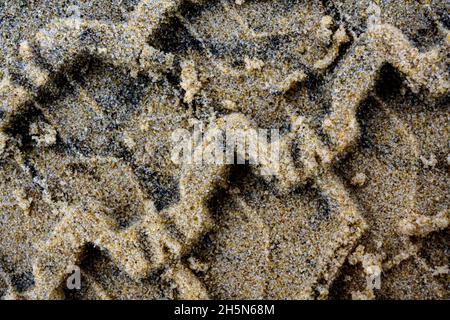 tiretrack in the sand on the beach Stock Photo