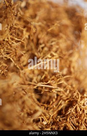 sheldia tobacco Rolling blond albanian tobacco leaves sheldia close up background stock  photography high quality big size prints Stock Photo